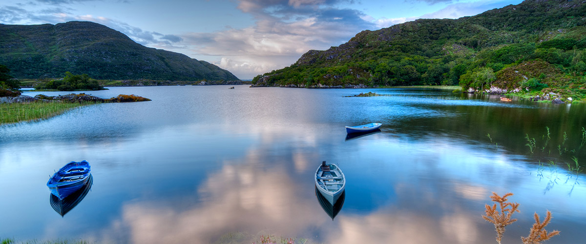 boats